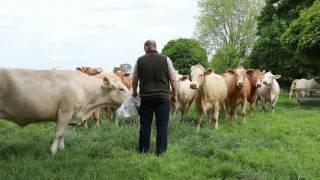 Meet Mark Wood – AHDB Farmbench – ‘Unearth Your Strengths’