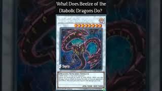 What Does Beelze of the Diabolic Dragons Do?