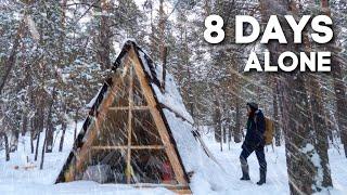 8 Days of Solitude in the Forest | Escaping People in a Cabin in Winter