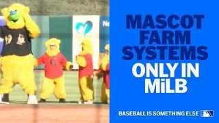 Mascot farm systems and a dancing sasquatch ... Only in MiLB!