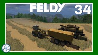 Let's Play | FS '11 | Feldy 34