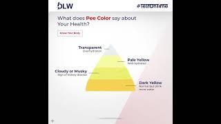 Urine Color Chart | Devansh Lab Werks