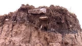 The Soil Rainbow: Wyoming Soil Colors & Types