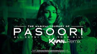 PASOORI (REMIX) - DJ KAWAL X DJ FRESH