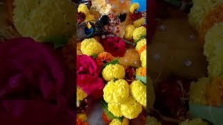 कोन विधी रीझेंगे मुरली धर श्याम