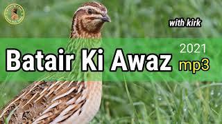 batair_ki_awaz_||_Quail_sounds_||_бедана_сайраши_||_bedana_sayrashi(360p)