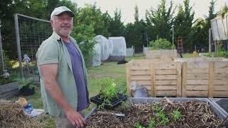 Planting More Spring Veggies