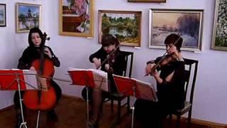 video_kapig_10.avi