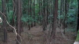 South Carolina Land For Sale: Wooded Estate Home Site Acreage