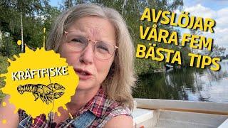 VI AVSLÖJAR VÅRA FEM BÄSTA TIPS FÖR LYCKAT KRÄFTFISKE