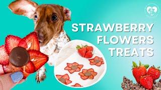 Homemade Strawberry Flowers Dog Treats