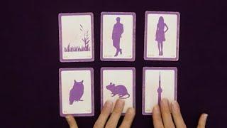 NOVEMBER 18-24 ~ WEEKLY READING FOR EVERY SIGN ~ With Lenormand's Cards ~ Lenormand Reader