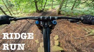 Stile Cop Ridge Run | Cannock Chase Downhill Trails