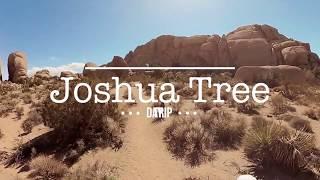 Joshua Tree | One Day Itinerary | Rylo 360 Camera