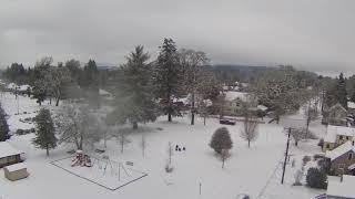 Forest Grove, Oregon in the snow, 2021-02-13