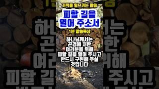 피할 길을 열어 주소서 | 기적을 일으키는 말씀 | #말씀조은tv #목양교회 #말씀듣기 #큐티 #성경암송 #1분말씀묵상 #기도
