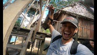 Russo VISITA La ISLA De los MONOS!!! ft. Pucallpeando Tv