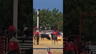 Cowtown Rodeo #rodeo #cowboys #pbr #newjersey #prca #professional #bullriding