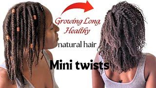 GROWING LONG NATURAL HAIR WITH MINI TWISTS| HOW I MOISTURISE MINI TWISTS FOR HEALTHY HAIR