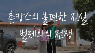벌레퇴치 방법/ 촌캉스의 불편한 진실/ 국보싸이언스/ 나방파리, 초파리 없애는 법/ 프로텍홈
