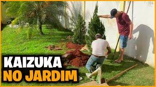 Kaizuka para Jardim - Plantio e cuidados | Conheça nossas novas plantas do Jardim