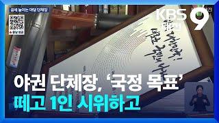 야권 단체장, ‘국정 목표’ 떼고 1인 시위하고 / KBS  2024.12.13.