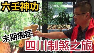 四川制煞之旅│末期癌症個案分享![六壬神功] [粵語繁簡CC字幕] #Channel All In One #Channel All In OneHK #六壬 #陳仙山 #劉法雄