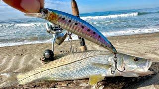 PESCA de RÓBALOS de PLAYA con MINNOW || JERKBAIT || MEDIA AGUA. Pesca de ORILLA.