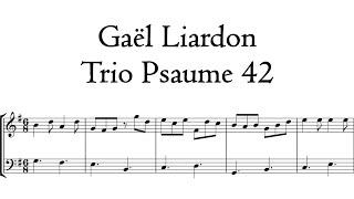 Liardon - Psaume 42 / Freu dich sehr o meine Seele - Metzler Organ, Poblet, Hauptwerk