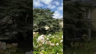 The Leys School