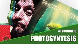 Tutorial #18 - Photosyntesis (Hjalmar Hach)