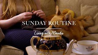  Sunday routine | Meal prep for a busy week | Living alone in Sweden vlog