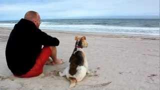 Dog Hamlet | A Fox Terrier Parody