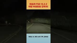 테슬라 FSD 13.2.2 밤 운전 갑자기 야생동물이 나왔을때 대처!