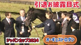 【ジャパンカップ2024】相棒ムーア騎手のなでなでにうっとりするオーギュストロダン️