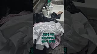 #퇴근후 #살림남 #일상 #빨래정리 #청소기 #손빨래 #만두튀김 #세탁기 #housekeeping