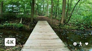 Immerse In Nature - 4K Virtual Walk - Bird, Water, Cricket, & Walking Sound - Treadmill Path