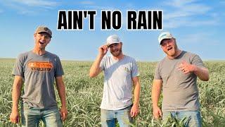 Ain't No Rain (Ain't No Love in Oklahoma - LUKE COMBS/TWISTERS Parody)