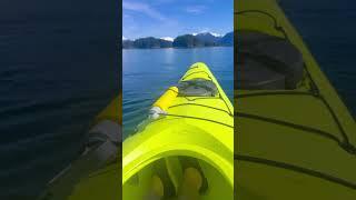 Would you rather kayak in California or Alaska?  #alaskancruise #alaskatravel #wheelchairlife