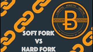 Soft Fork vs Hard Fork [Blockchain & Cryptocurrency (Bitcoin, Ethereum)]