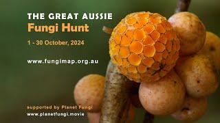 Great Aussie Fungi Hunt 2024 - 1-30 October