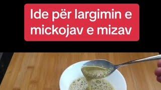 Si te largojme mushkonjat