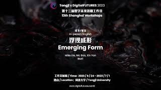 Emerging Form: Design and Fabrication Based on Topology Optimisation