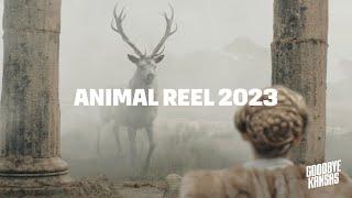 Animal Reel 2023 by Goodbye Kansas Studios