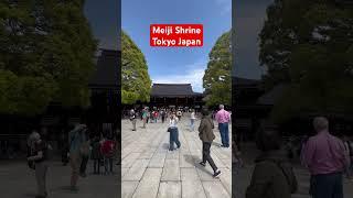 #meijishrine #Tokyo Japan