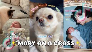 YOUR BEAUTY NEVER, EVER SCARED ME (Mary on a Cross) - TIKTOK COMPILATION