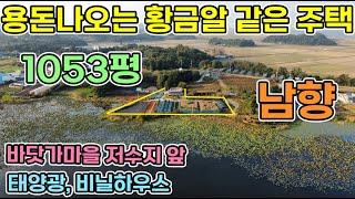 (강추)서산전원주택 수익이 창출되는 남향 저수지 앞 1053평의 주택. 철근콘크리트 텃밭넓어요.