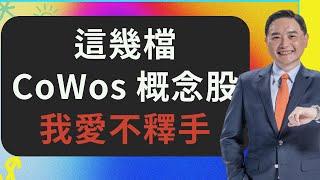 這幾檔CoWos概念股，我愛不釋手