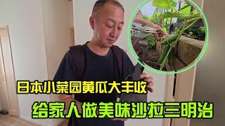 【日本生活】豐收的早晨：自家菜園的美味沙拉三明治I  Reaction Video