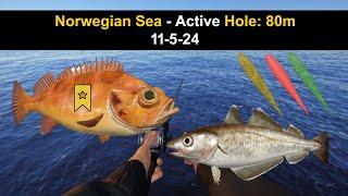 Russian Fishing 4, Norwegian Sea - Active Hole: 80m 11-5-24 (Trophy Small Redfish)